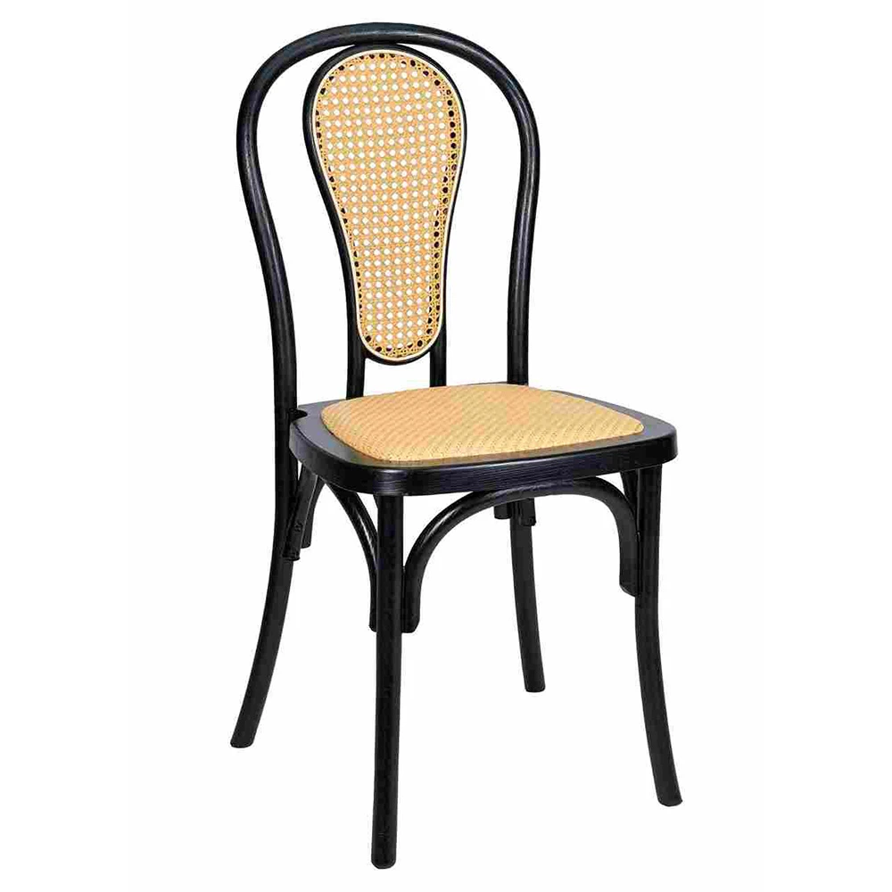 Sedia Bentwood in resina