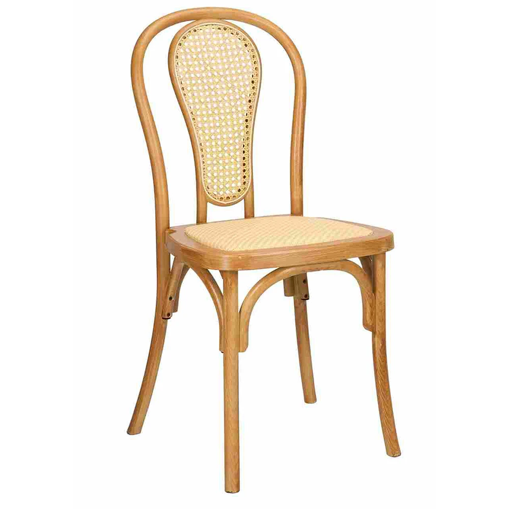 Sedia Bentwood in resina