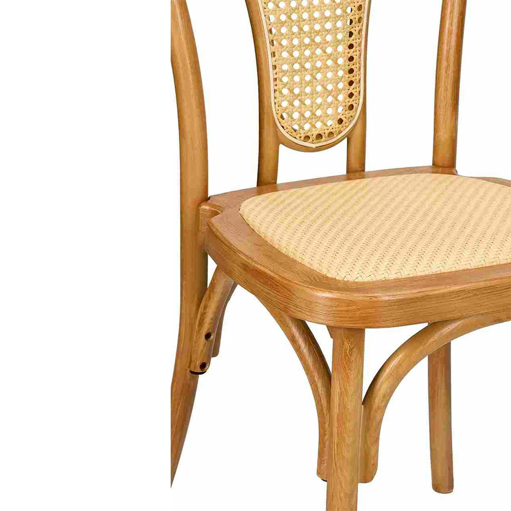 Sedia Bentwood in resina
